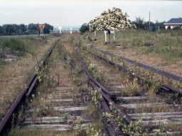 Station Scherpenheuvel 1974_5